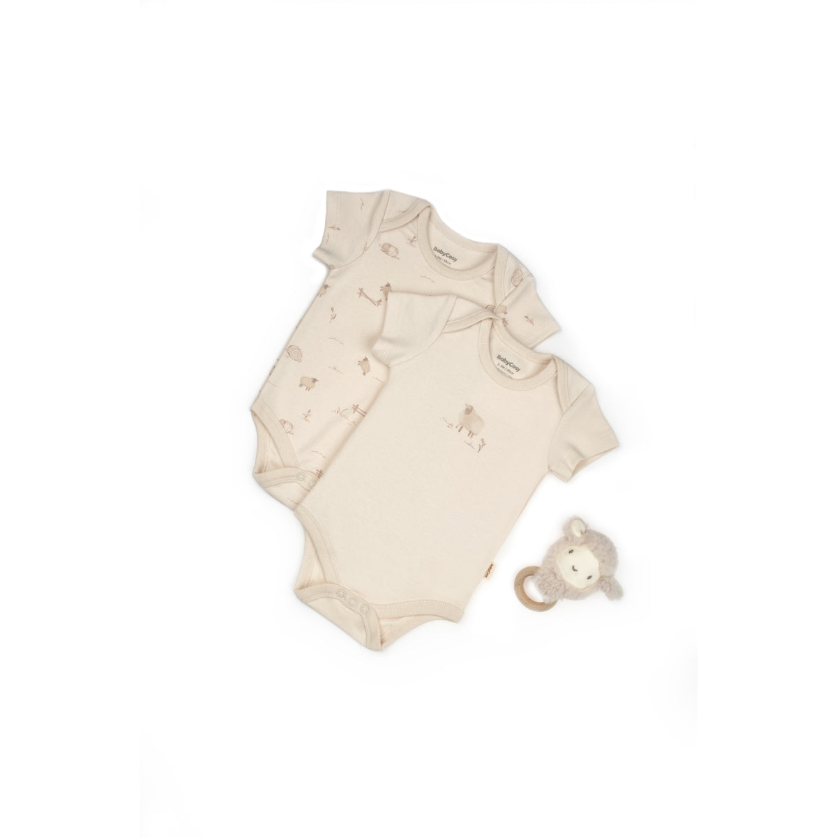 GOTS Sertifikalı, Organik, Unisex, Kuzu Desenli, 2&