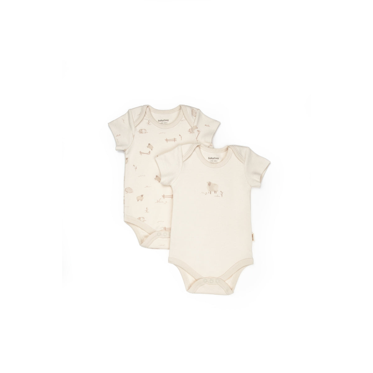 GOTS Sertifikalı, Organik, Unisex, Kuzu Desenli, 2&