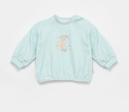 GOTS Certified, Organic, Unisex Baby Sweatshirt, 6-36 Months